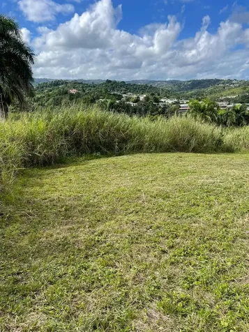 Route 159 Corozal PR 00783