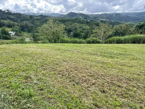 Route 159 Corozal PR 00783