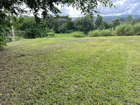 Route 159 Corozal PR 00783