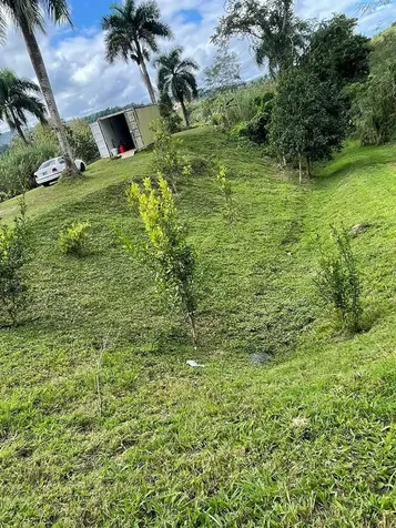Route 159 Corozal PR 00783