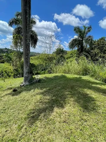Route 159 Corozal PR 00783