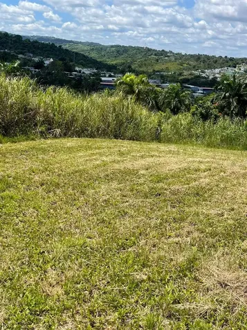 Route 159 Corozal PR 00783