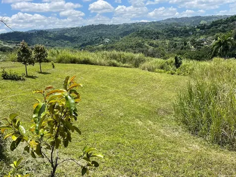 Route 159 Corozal PR 00783
