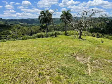 Route 159 Corozal PR 00783