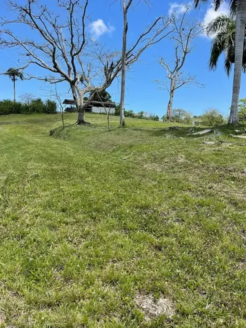Route 159 Corozal PR 00783