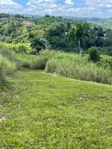 Route 159 Corozal PR 00783