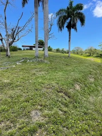 Route 159 Corozal PR 00783