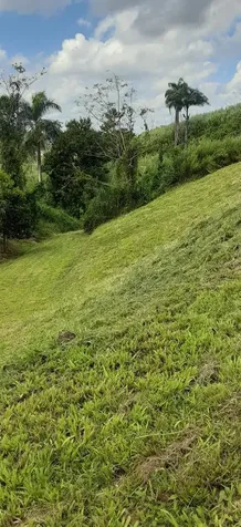 Route 159 Corozal PR 00783