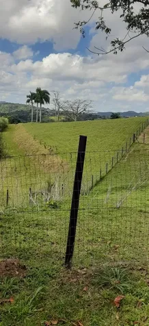 Route 159 Corozal PR 00783