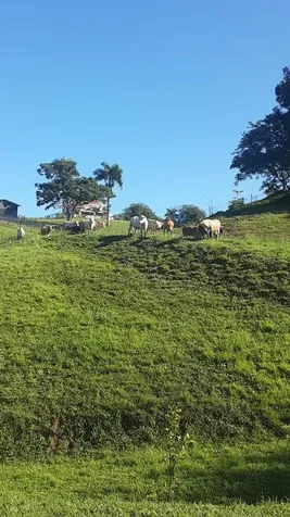 Route 159 Corozal PR 00783
