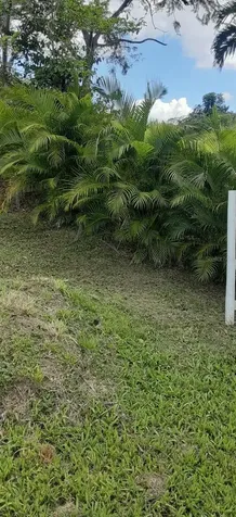 Route 159 Corozal PR 00783