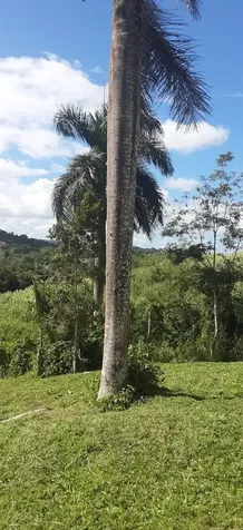Route 159 Corozal PR 00783