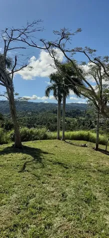 Route 159 Corozal PR 00783