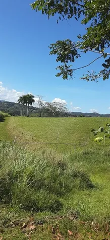 Route 159 Corozal PR 00783