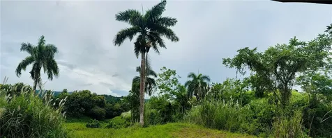 Route 159 Corozal PR 00783