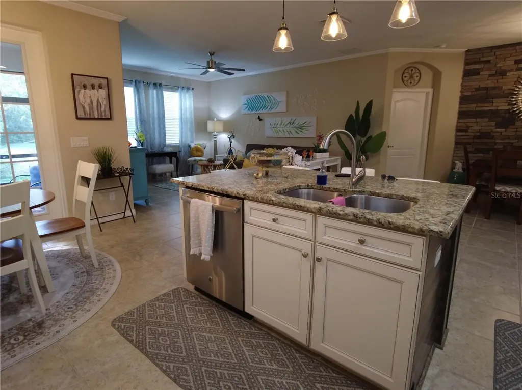 9933 Saunton Drive San Antonio FL 33576
