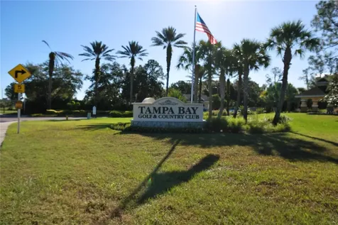 9933 Saunton Drive San Antonio FL 33576