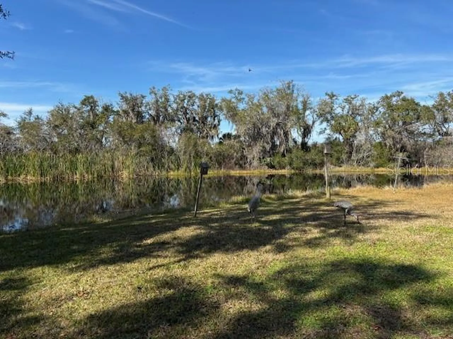 53 N Archwood Drive Inverness FL 34450