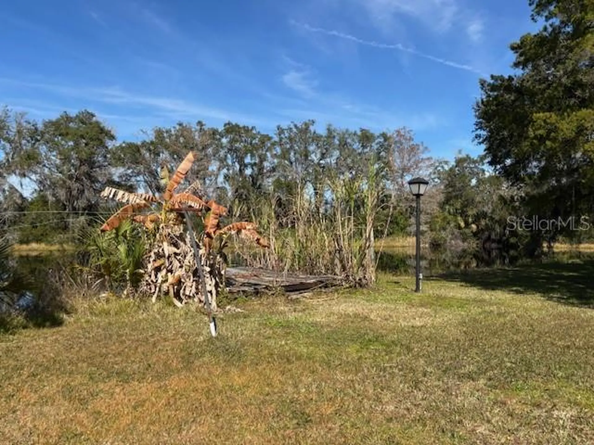 53 N Archwood Drive Inverness FL 34450