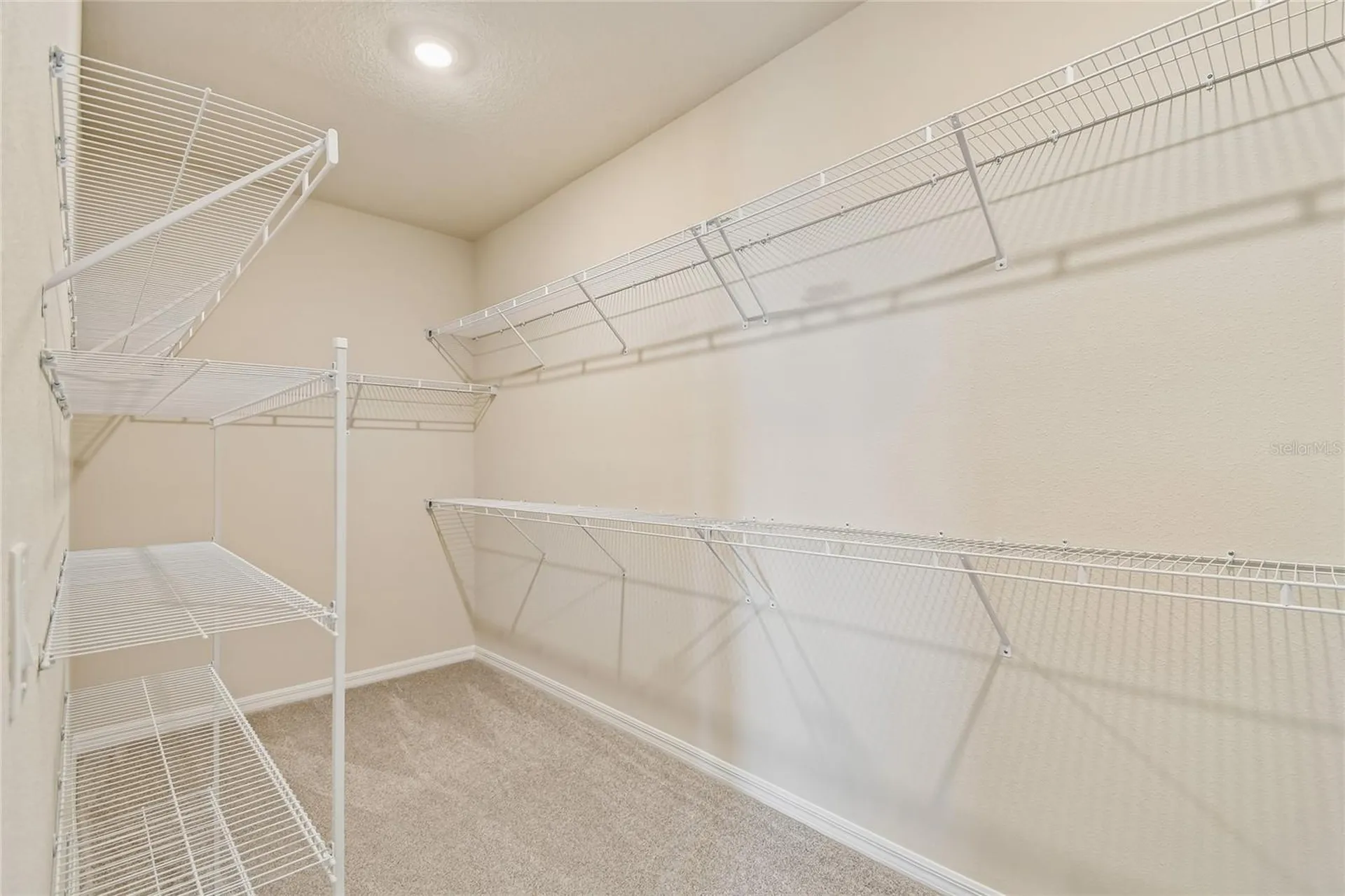 5921 Bristle Oak Street Mount Dora FL 32757