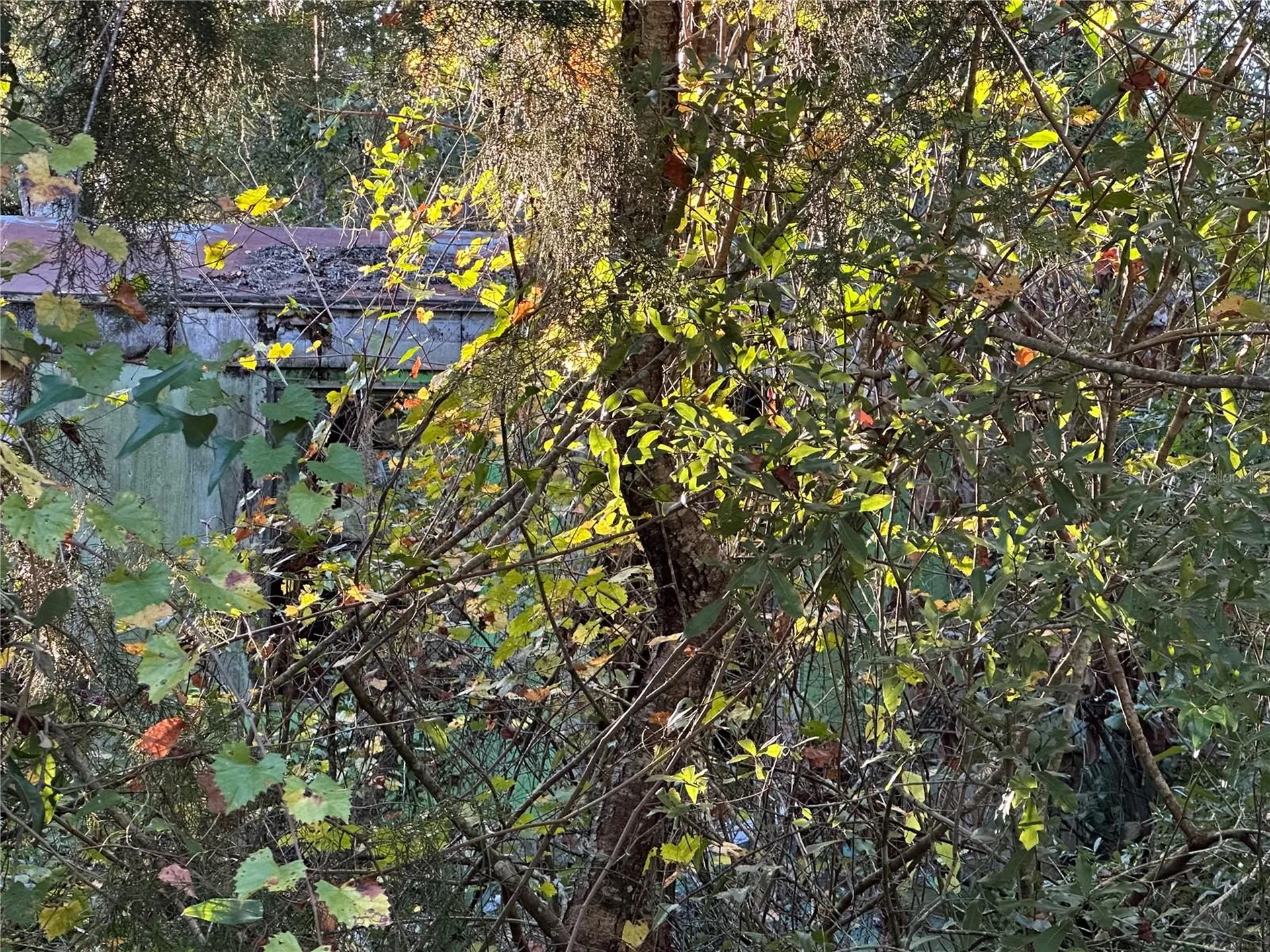 150 SE 926th Street Old Town FL 32680