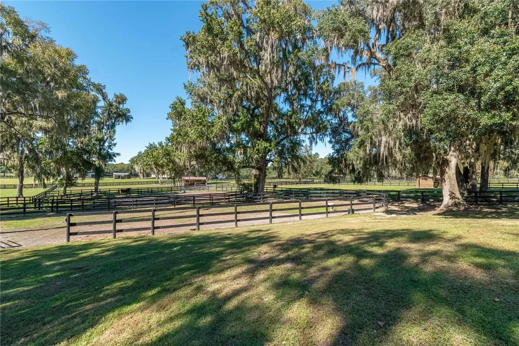 8820 NW 130th Street Reddick FL 32686