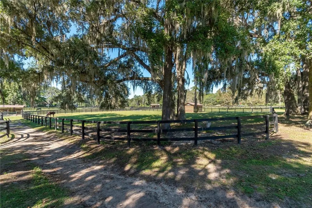 8820 NW 130th Street Reddick FL 32686