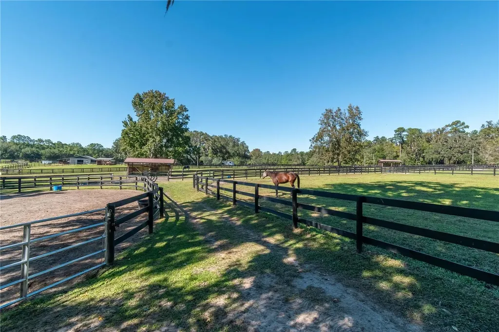 8820 NW 130th Street Reddick FL 32686