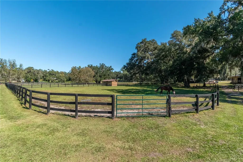 8820 NW 130th Street Reddick FL 32686