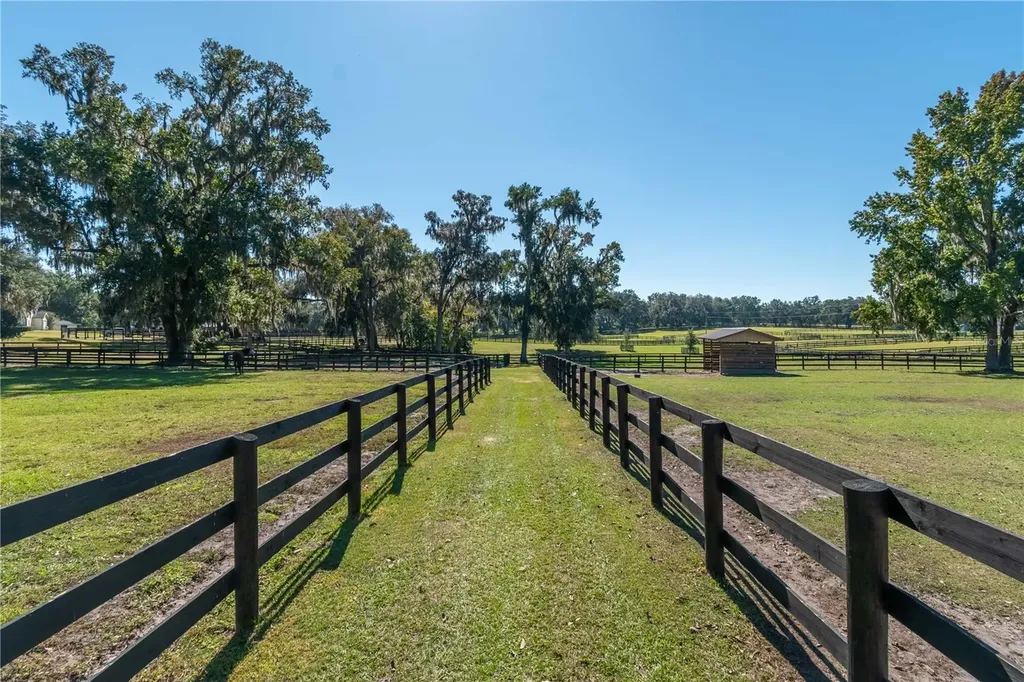 8820 NW 130th Street Reddick FL 32686