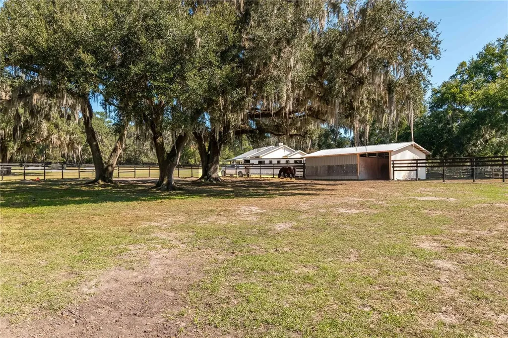 8820 NW 130th Street Reddick FL 32686