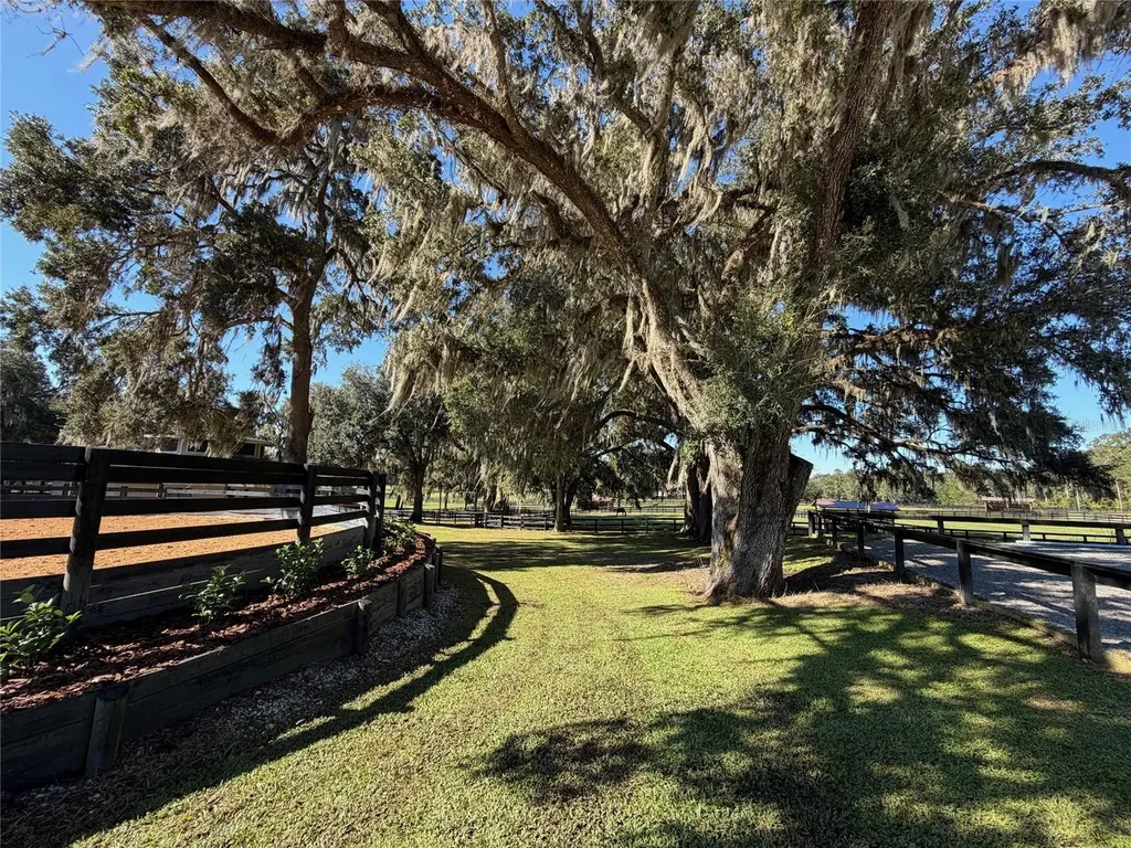 8820 NW 130th Street Reddick FL 32686