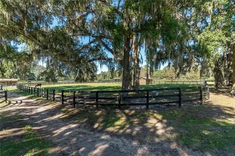 8820 NW 130th Street Reddick FL 32686