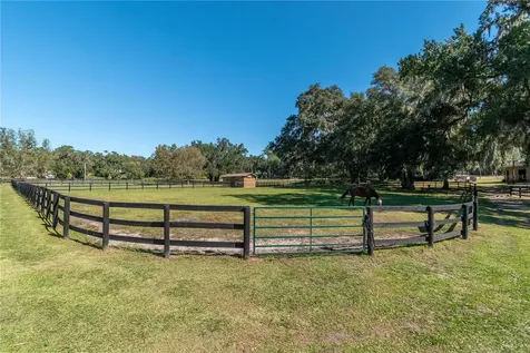 8820 NW 130th Street Reddick FL 32686