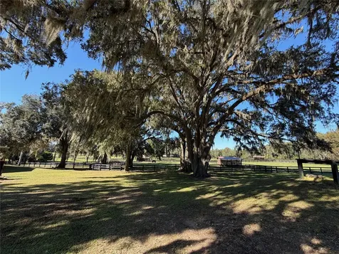8820 NW 130th Street Reddick FL 32686