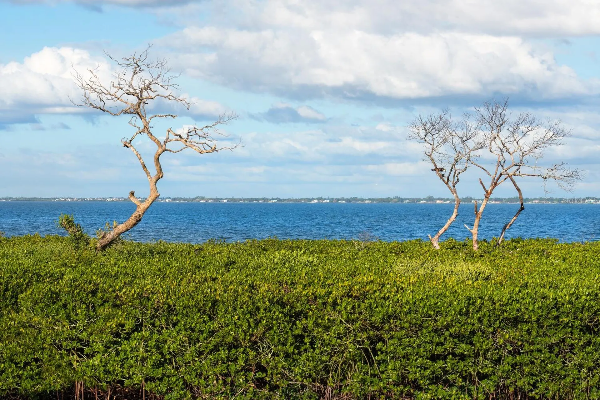 560 Harbor Point Road Longboat Key FL 34228