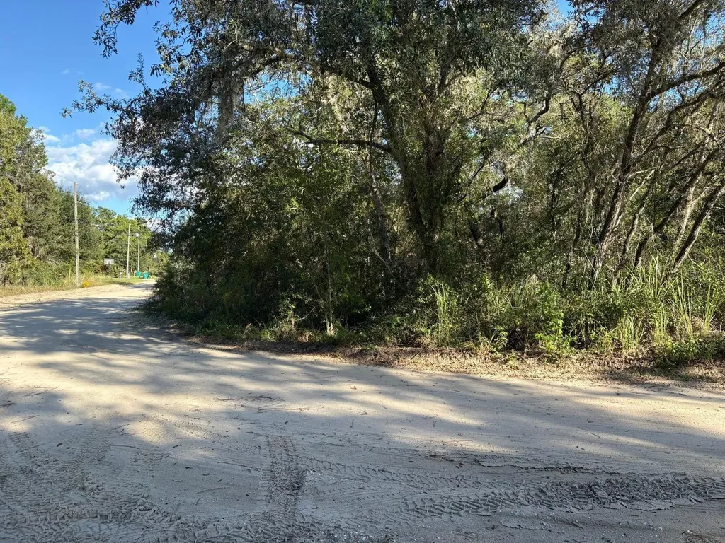 2909 Eastwood Street Inverness FL 34452