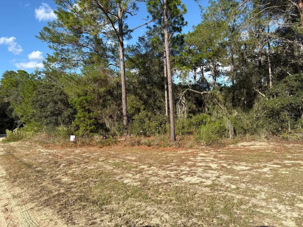 2909 Eastwood Street Inverness FL 34452
