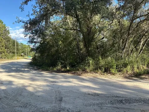 2909 Eastwood Street Inverness FL 34452