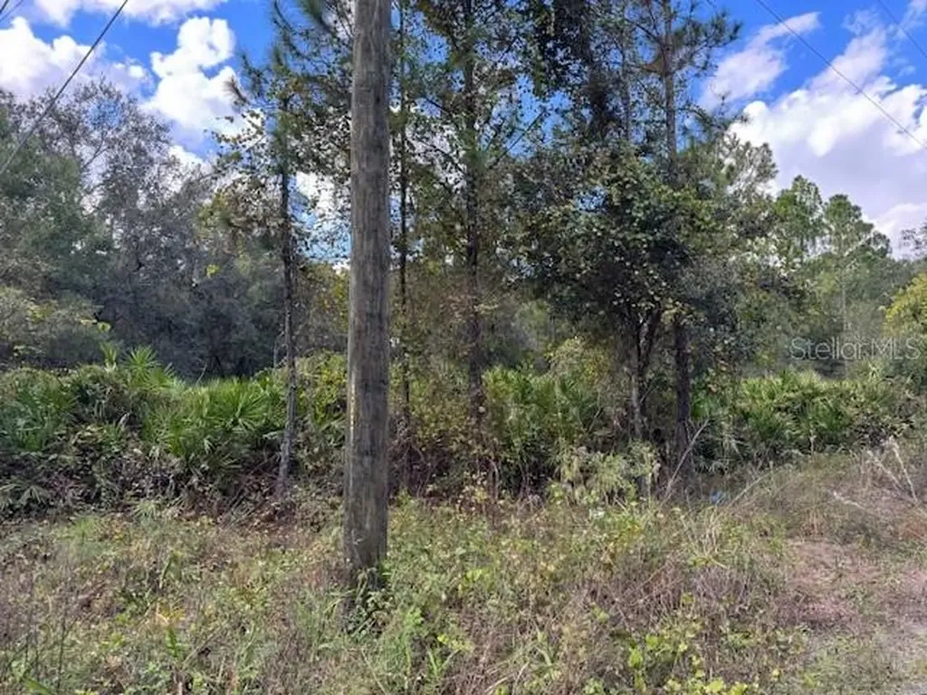 12TH Avenue Deland FL 32724