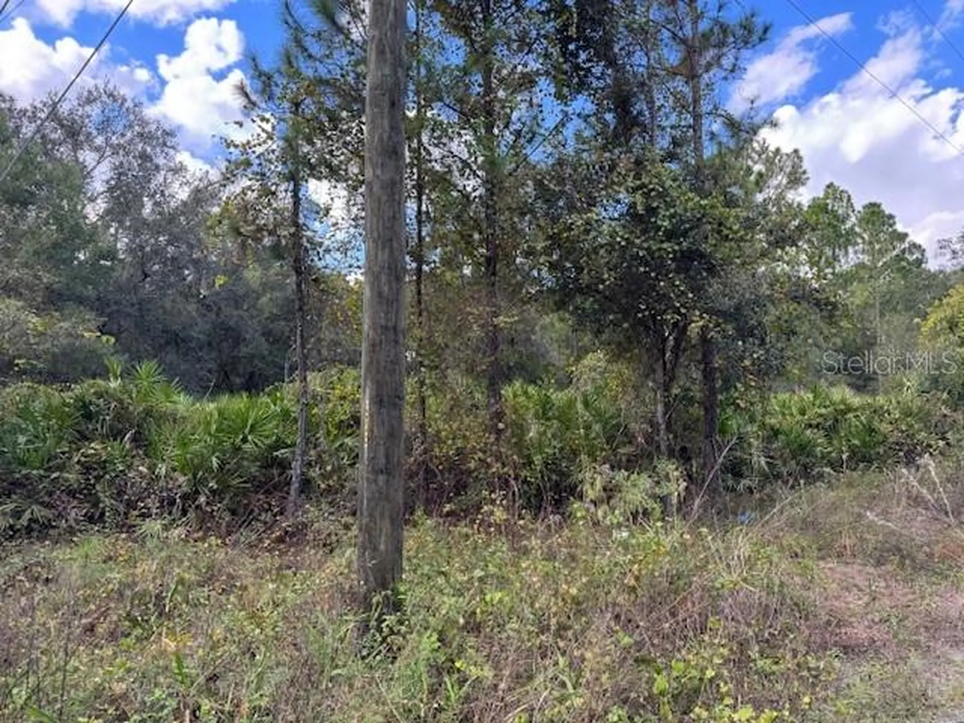 12TH Avenue Deland FL 32724