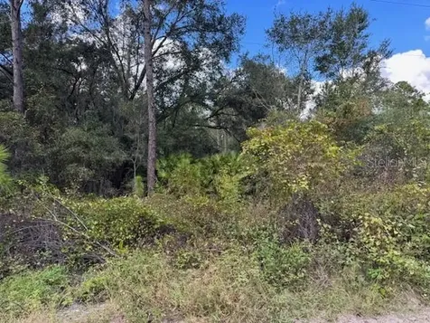 12TH Avenue Deland FL 32724