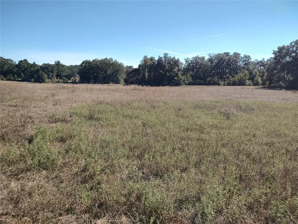 NW 54th Loop Ocala FL 34482