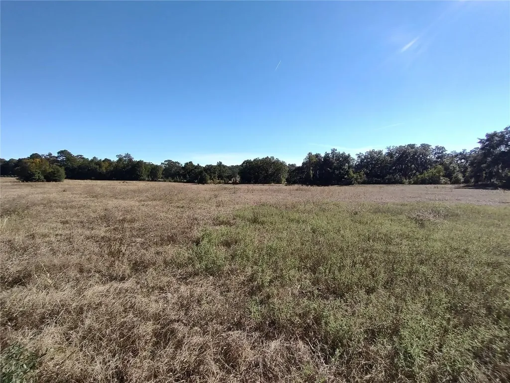 NW 54th Loop Ocala FL 34482