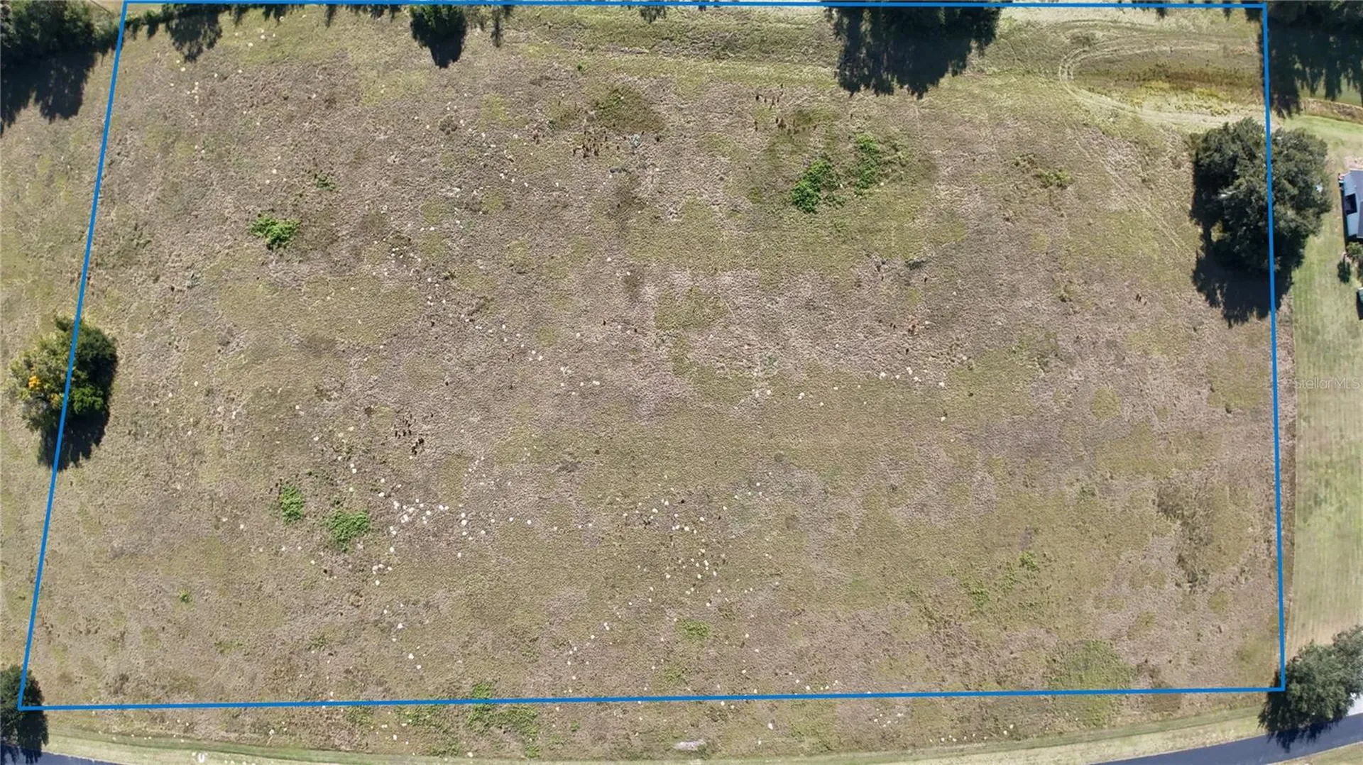 NW 54th Loop Ocala FL 34482