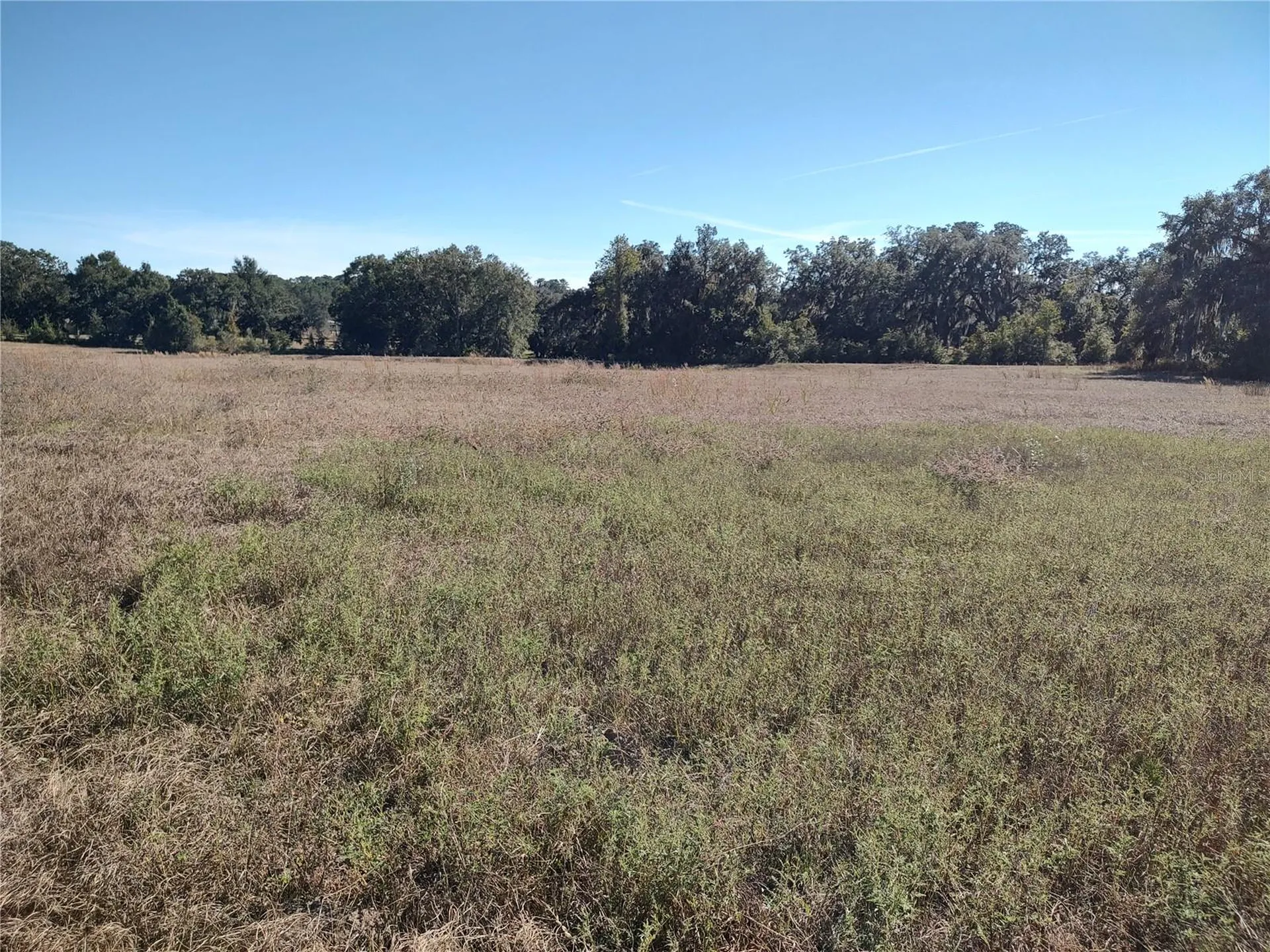 NW 54th Loop Ocala FL 34482