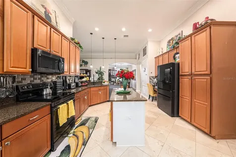 13248 Graham Yarden Drive Riverview FL 33579