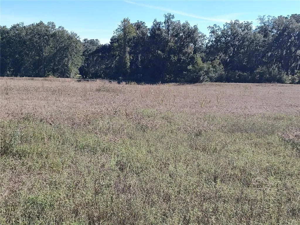 NW 54th Loop Ocala FL 34482