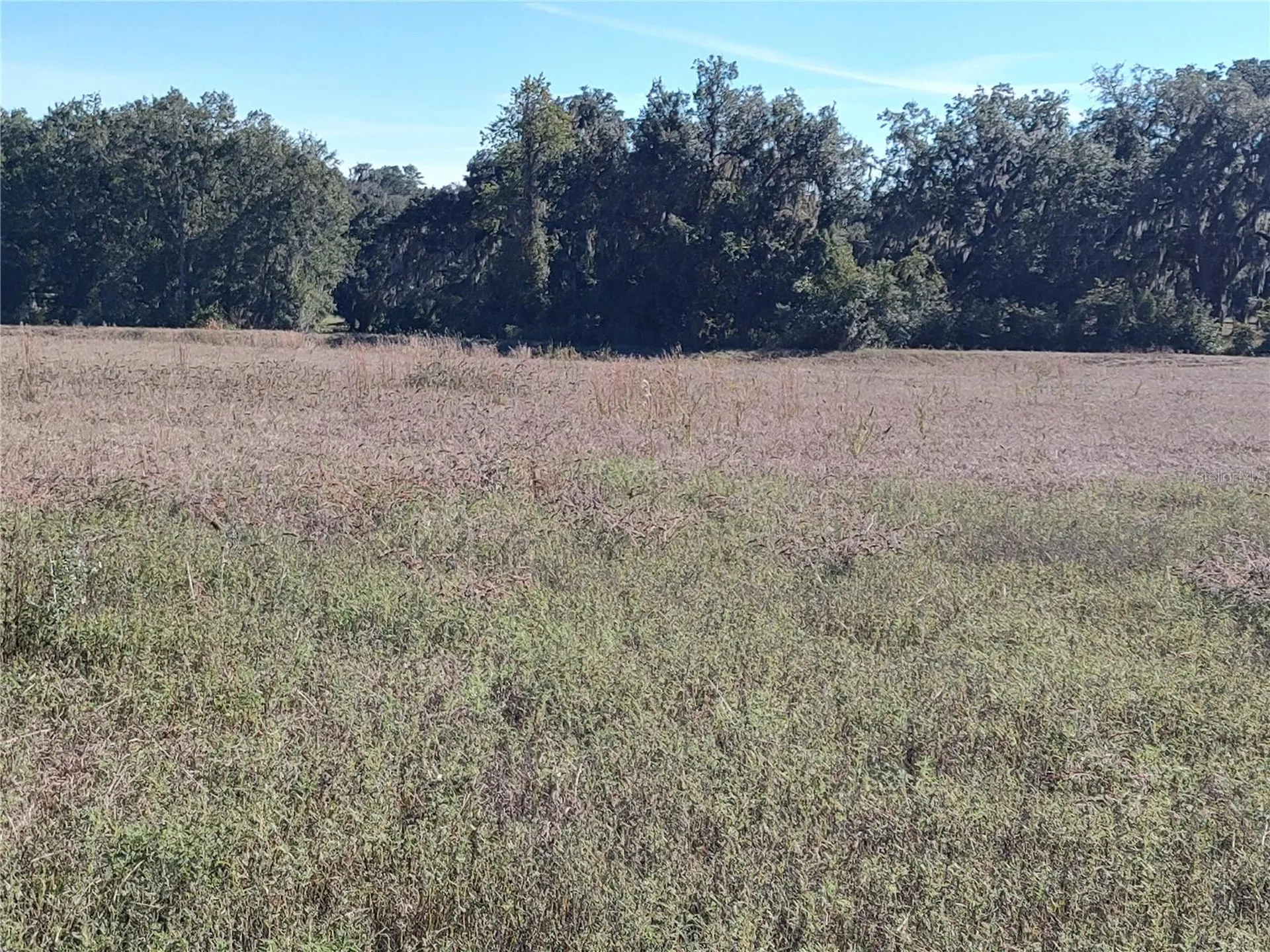 NW 54th Loop Ocala FL 34482