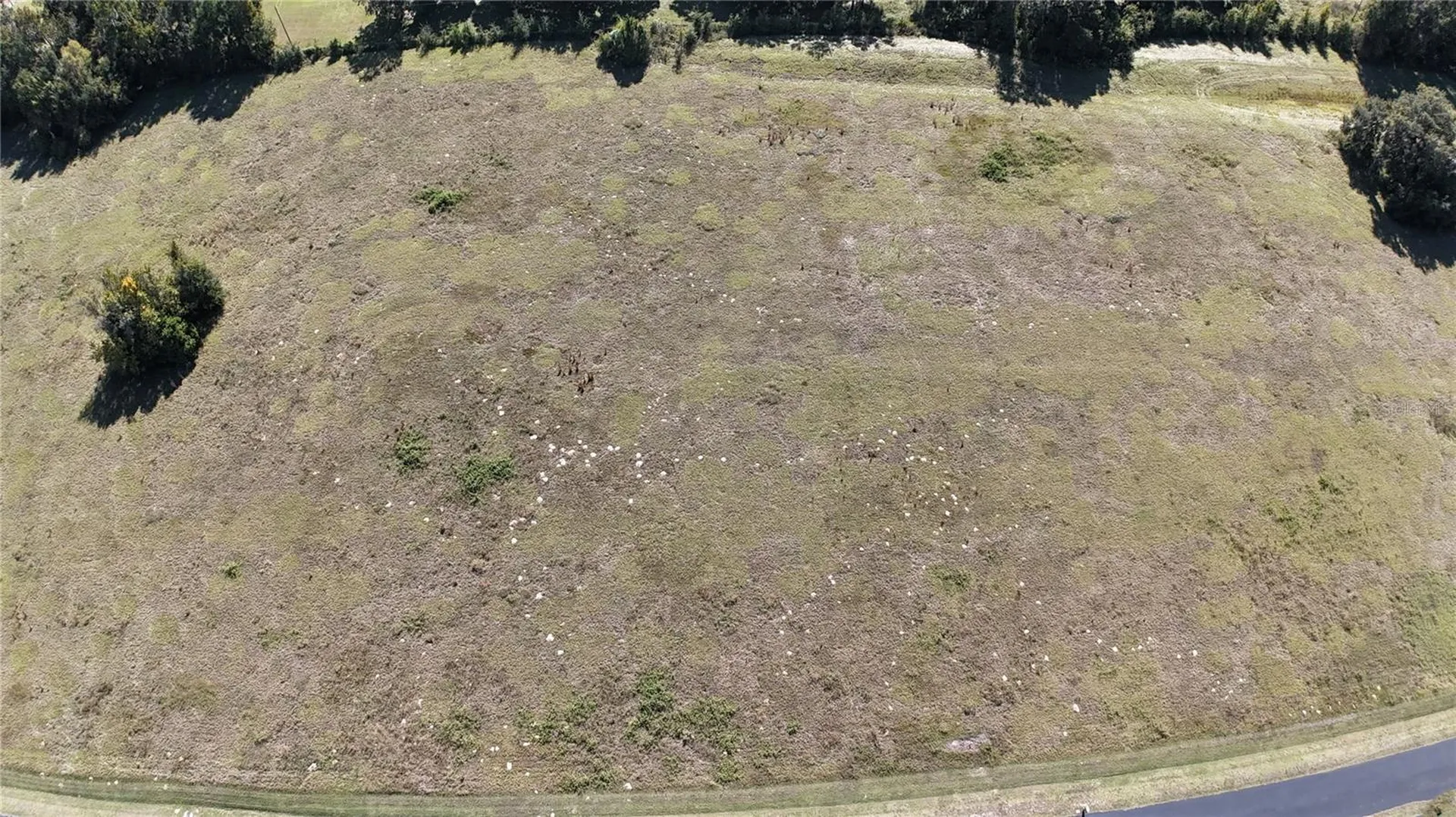 NW 54th Loop Ocala FL 34482